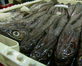 Los países de la Unión Europea aprueban las cuotas pesqueras para 2011
