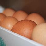 Los precios de los huevos decaen influenciados por un "flojo" mercado europeo