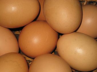 Los precios de los huevos inician el mes de abril con descensos en España