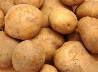 Los productores analizan la cadena de valor de la patata para corregir caídas