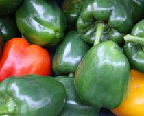 Los productores de frutas y hortalizas de Almería reciben 31 millones en ayudas