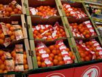 Mayoristas donarán 28.000 kilos de fruta a peregrinos durante la visita papal