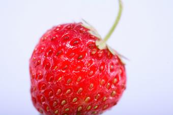 Nuevas variedades de fresas logran durar más sin perder sabor ni olor