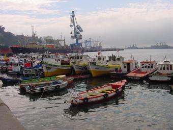 Ordenar el caladero español y la reforma europea, retos pesqueros de Gobierno