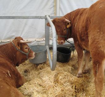 Se confirma la recuperación de los precios de la leche percibidos por los ganaderos en España