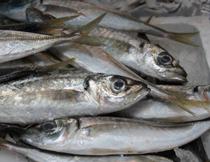 Se inicia la campaña de la Junta para fomentar el consumo de pescado fresco
