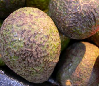 Un proyecto busca retrasar la caducidad del guacamole y ampliar sus mercados
